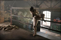 Kinbaku, Shibari /© foto by muffart.ch