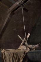 Kinbaku, Shibari /© foto by muffart.ch