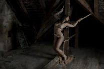 Kinbaku, Shibari /© foto by muffart.ch