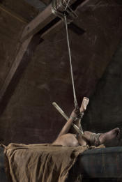 Kinbaku, Shibari /© foto by muffart.ch