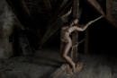Kinbaku, Shibari /© foto by muffart.ch