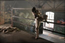 Kinbaku, Shibari /© foto by muffart.ch