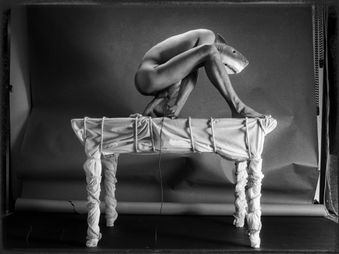 self exposure 1988